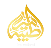 Amere Taiba International logo