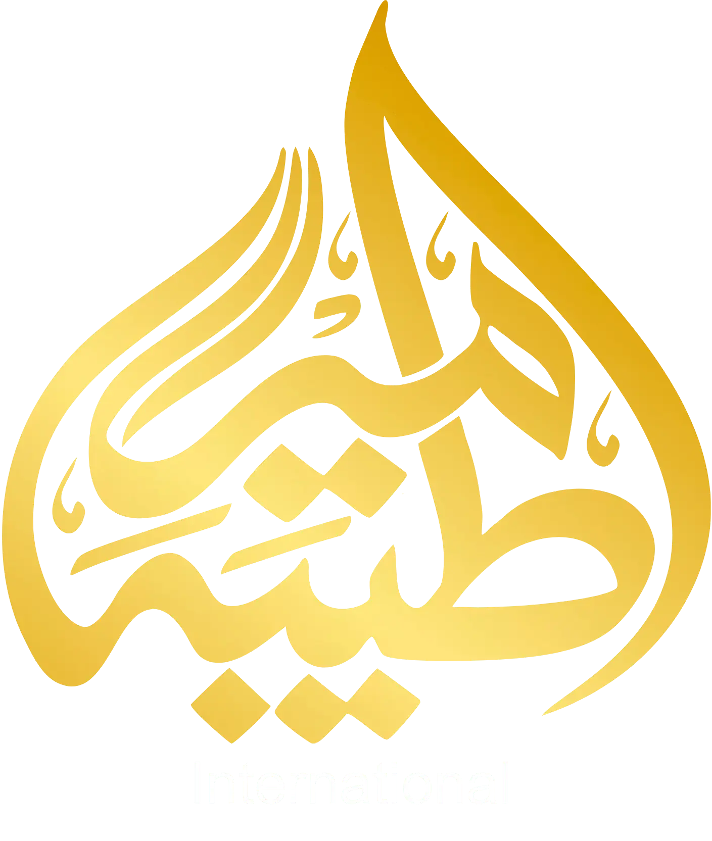 Amere Taiba International logo